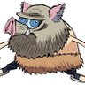 Javali dos Pampas's profile picture