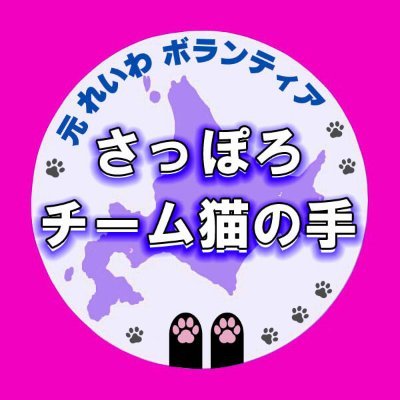 inochi_teamhsn's profile picture