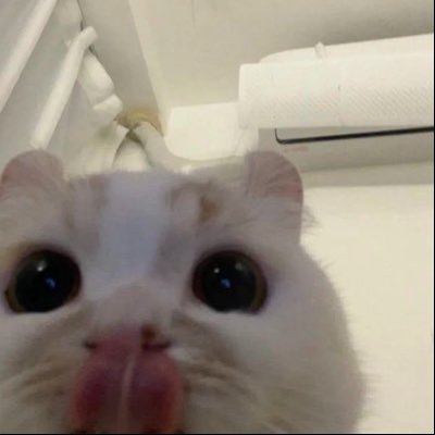 kai's profile picture