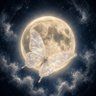 Profilbild von LUNA.N