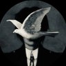 Runa Shitsuren ใ๏ธ's profile picture