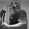 Heavy Cat☕🐾🥩🩷 profil fotoğrafı