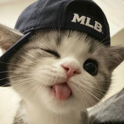 Zero Adulting's profile picture
