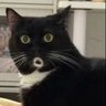 Lola Wood's profile picture