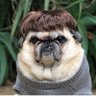 Bulldog Bryant ๐ฎ๐ช๐ท๐บ๐ฆ๐บ's profile picture