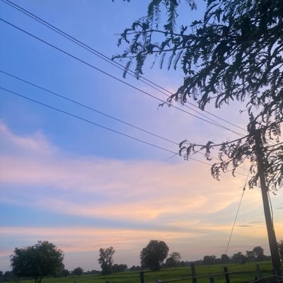 BENZ_22Y's profile picture