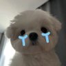 axuy's profile picture
