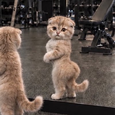 bubulssi's profile picture