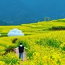随和儒雅 的头像