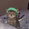 Фото профиля Zoro~