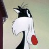 Chris the #1 Sylvester fan (Drayton Productions)'s profile picture