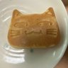 Profilbild von 野良ぬこ