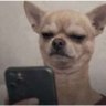 Profilbild von T....