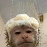 Profilbild von Jacob