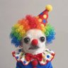 Sol's profile picture