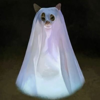 Ghost's profile picture