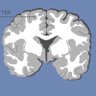 Фото профиля grey_matter