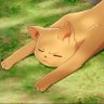Profilbild von Katkat ₍^. .^₎⟆ • 🕹️🌿🧬