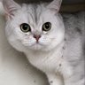 MonaAlot profil fotoğrafı