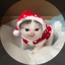 Profilbild von Jeff