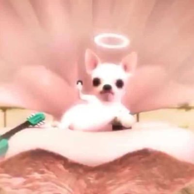 JudiVodderxviq's profile picture