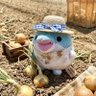 ミテルシッテル 的头像