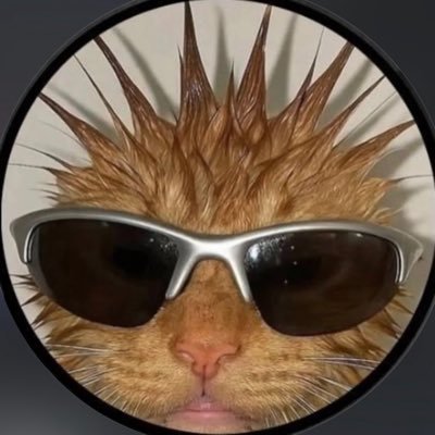 ʏᴢ's profile picture