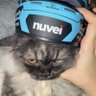BILLEMON's profile picture