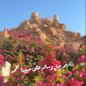 حمدان الرويلي 的头像