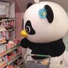 dp 的头像