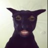 tequila's profile picture