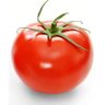 YLVUW9ME3R2GRBW's profile picture