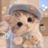 Profilbild von ☘️🌸☆N°fon°☆🌸☘️✨️🐶🐻❄️✨
