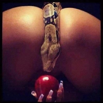 SextapeFr's profile picture