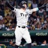 てるてる坊主hanshin🇯🇵🇯🇵🐯🐯💯💯 的头像