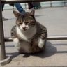 Фото профиля dütürüdüttü stiv