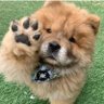 Arti_841's profile picture