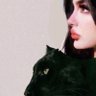 ✨🎐🤍's profile picture