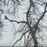 Фото профиля Gol Par