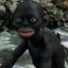 Steven Winter's profile picture