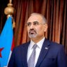 Bin Qasem's profile picture