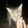 Profilbild von 方块猫