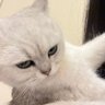 มัมหมีน้องเฟิ้ดดๆ profil fotoğrafı