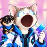 msq.sol's profile picture