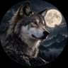 wolf🐺 的头像