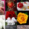 🎋🌷السلطان🌷🎋's profile picture