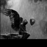 Nick Adams's profile picture