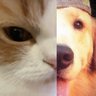 Profilbild von be mineเ้รดโซน 𐔌˙.