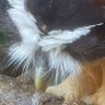 Eggoo profil fotoğrafı