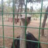 Фото профиля Kerem